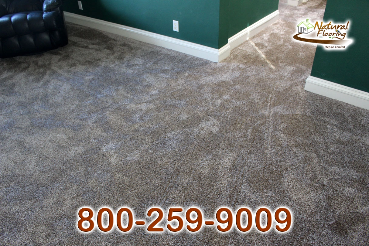 Prairie Stone Carpet