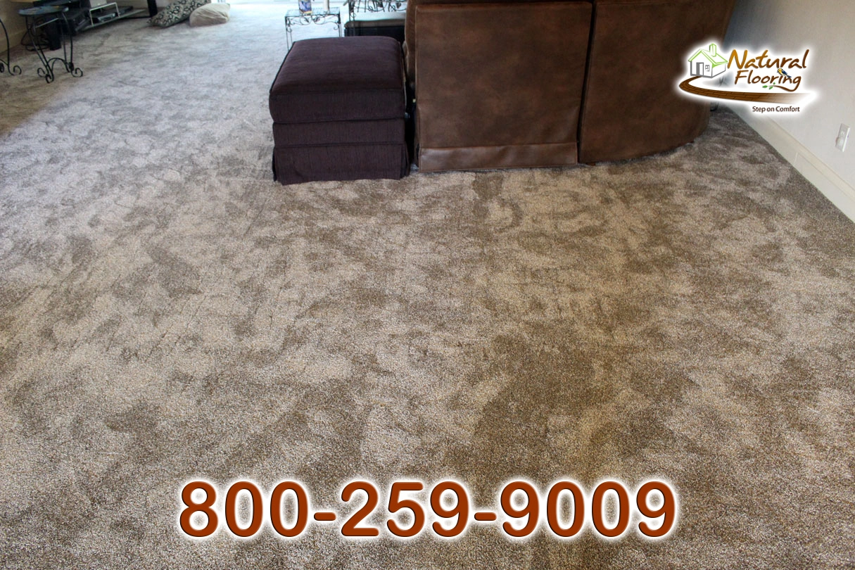 Prairie Stone Carpet