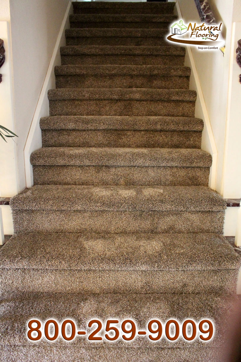 Prairie Stone Carpet