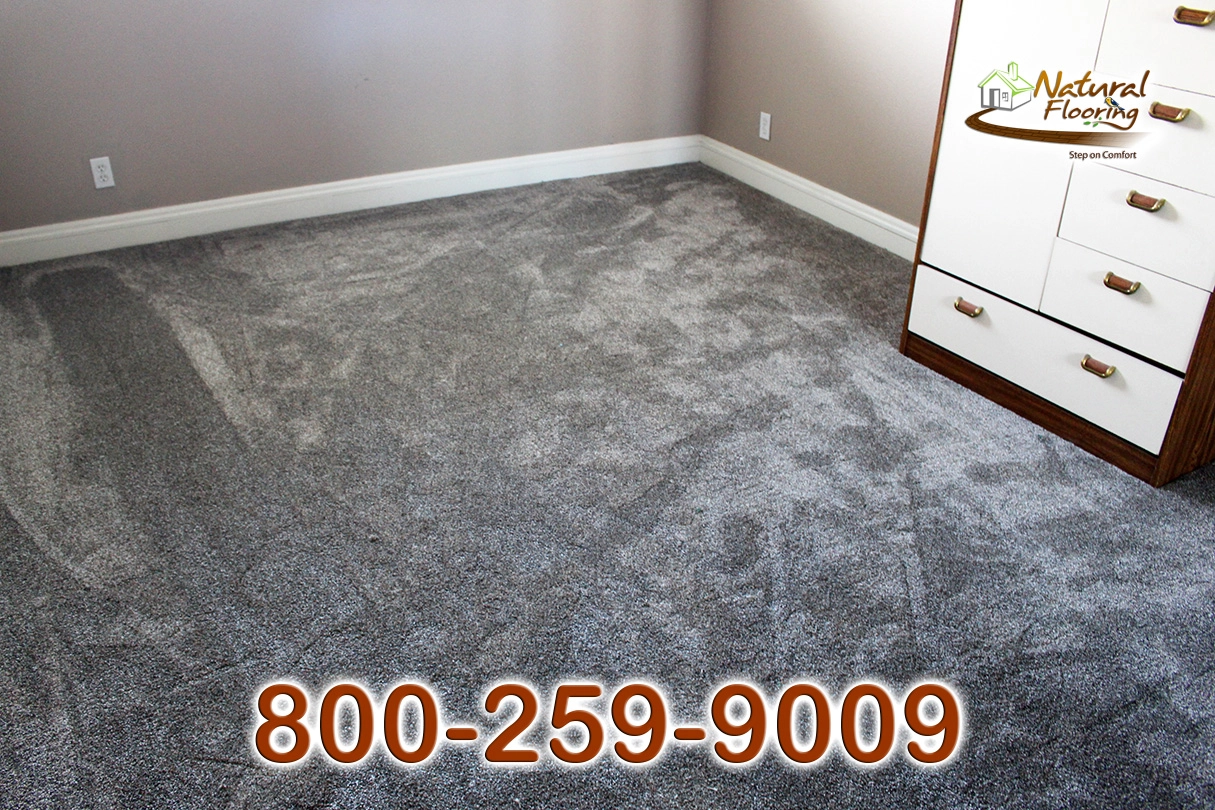 Prairie Stone Carpet