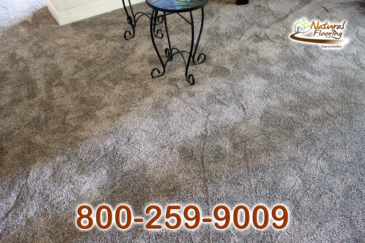 Prairie Stone Carpet