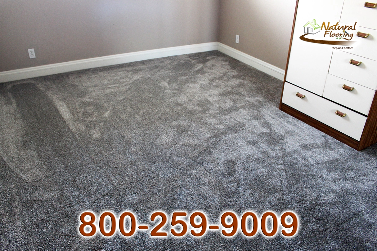 Prairie Stone Carpet