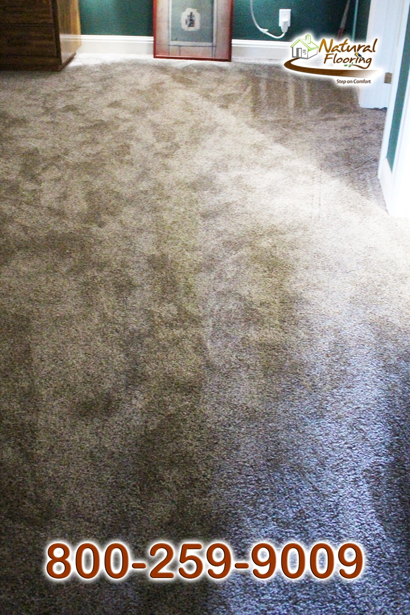 Prairie Stone Carpet