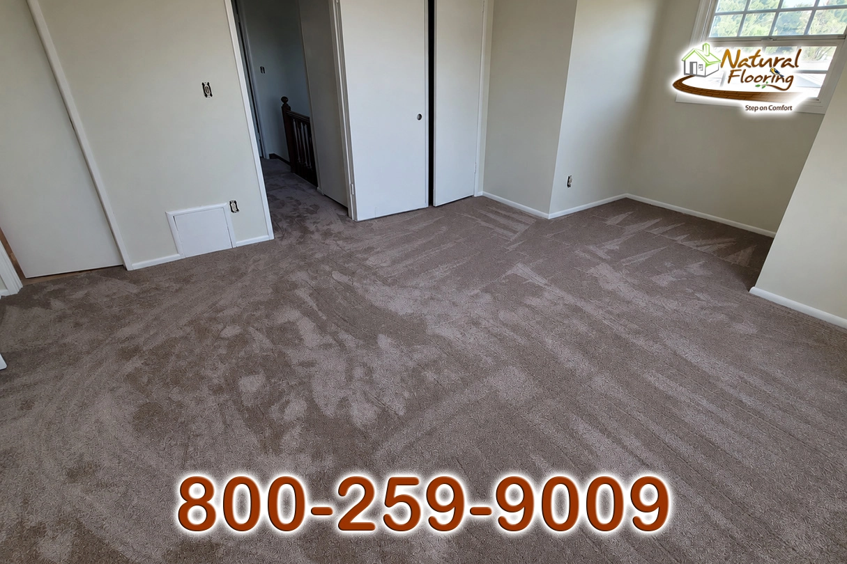 Quail Carpet