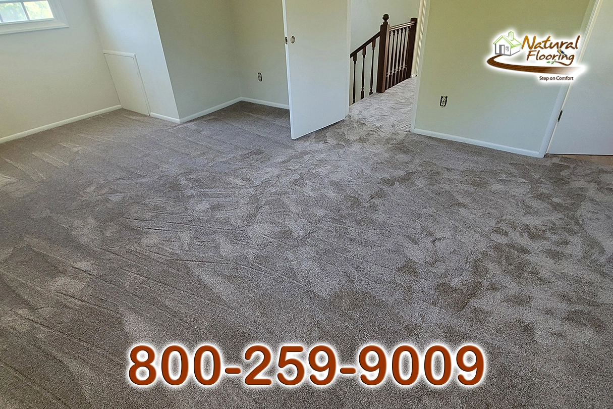 Quail Carpet