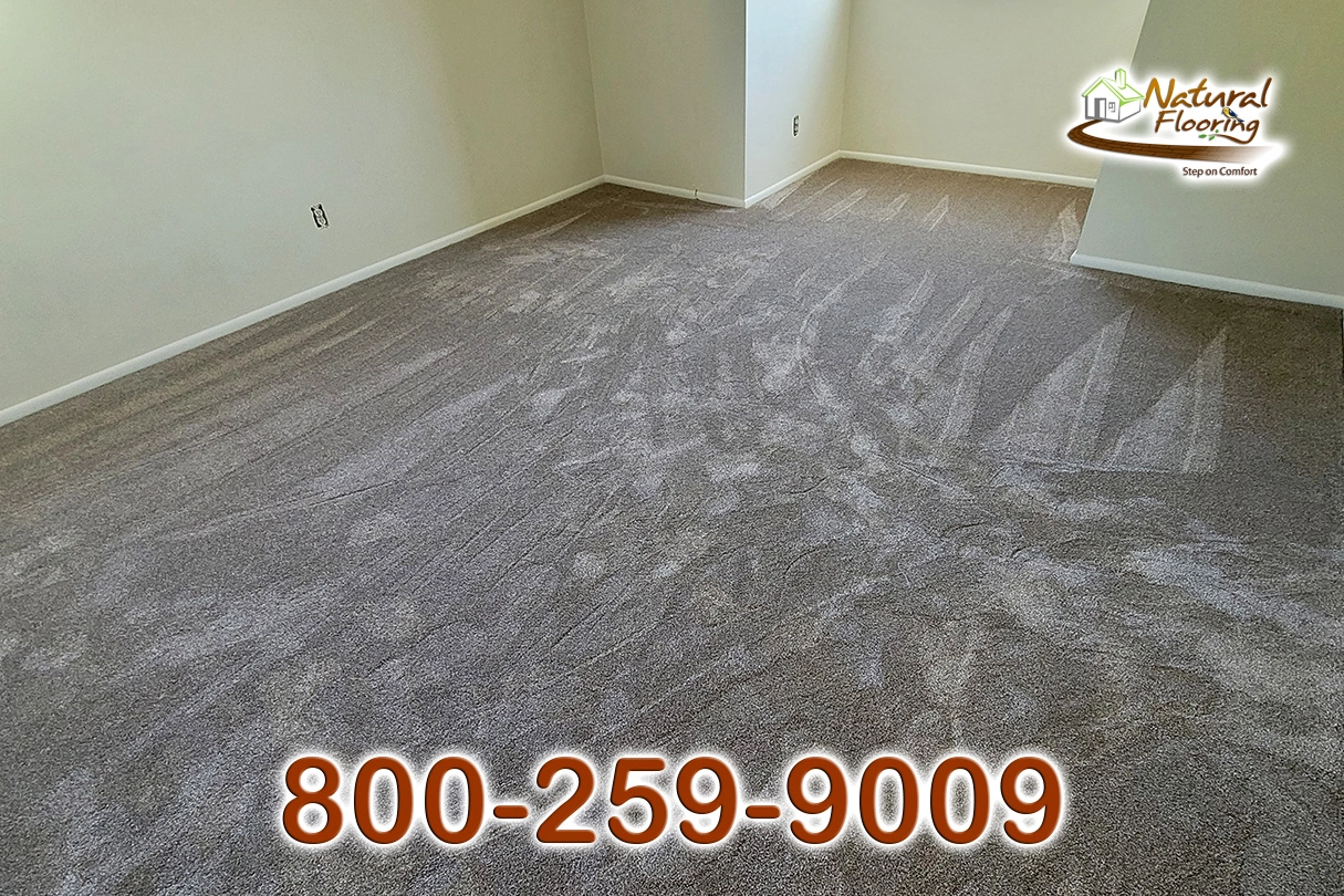 Quail Carpet