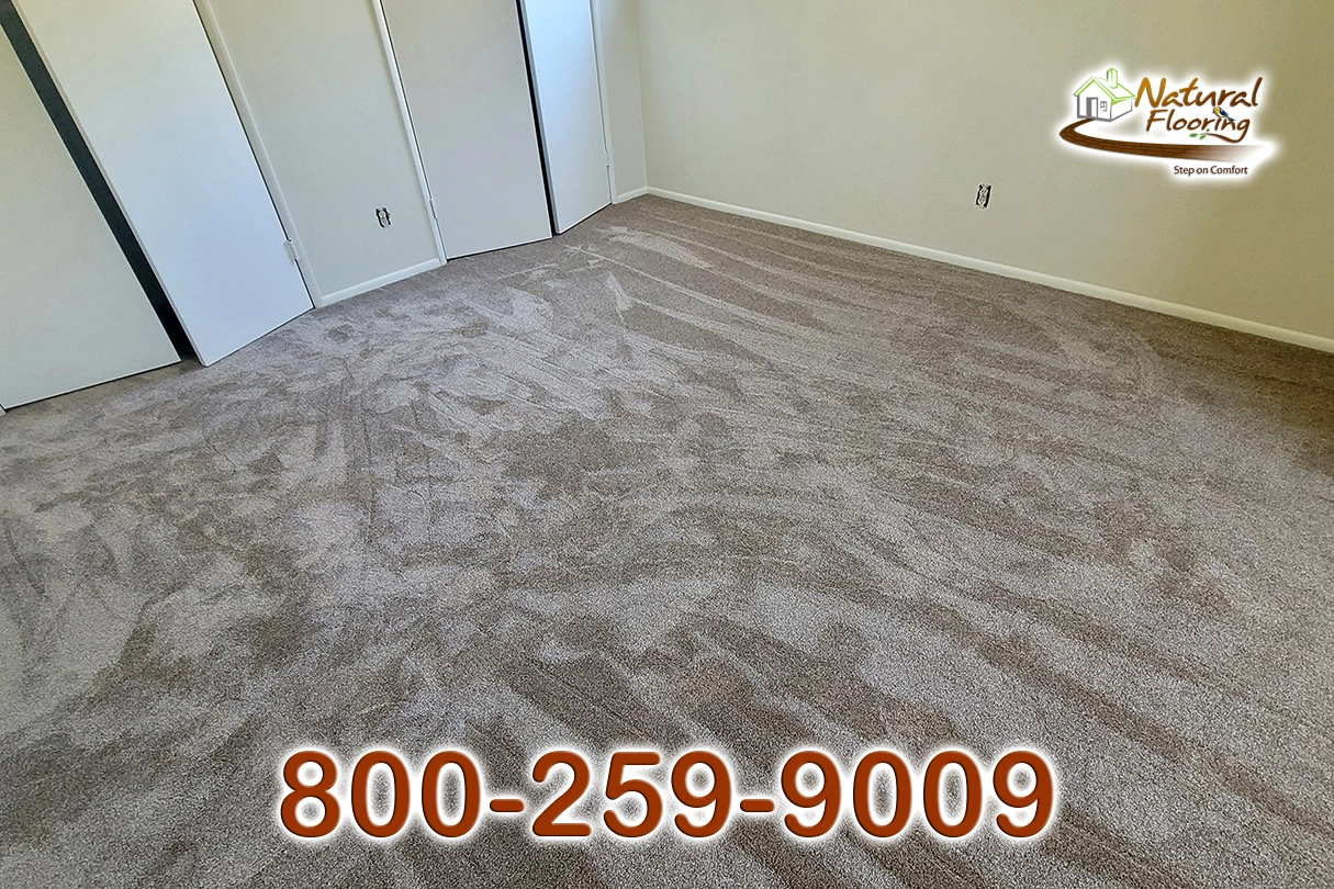 Quail Carpet