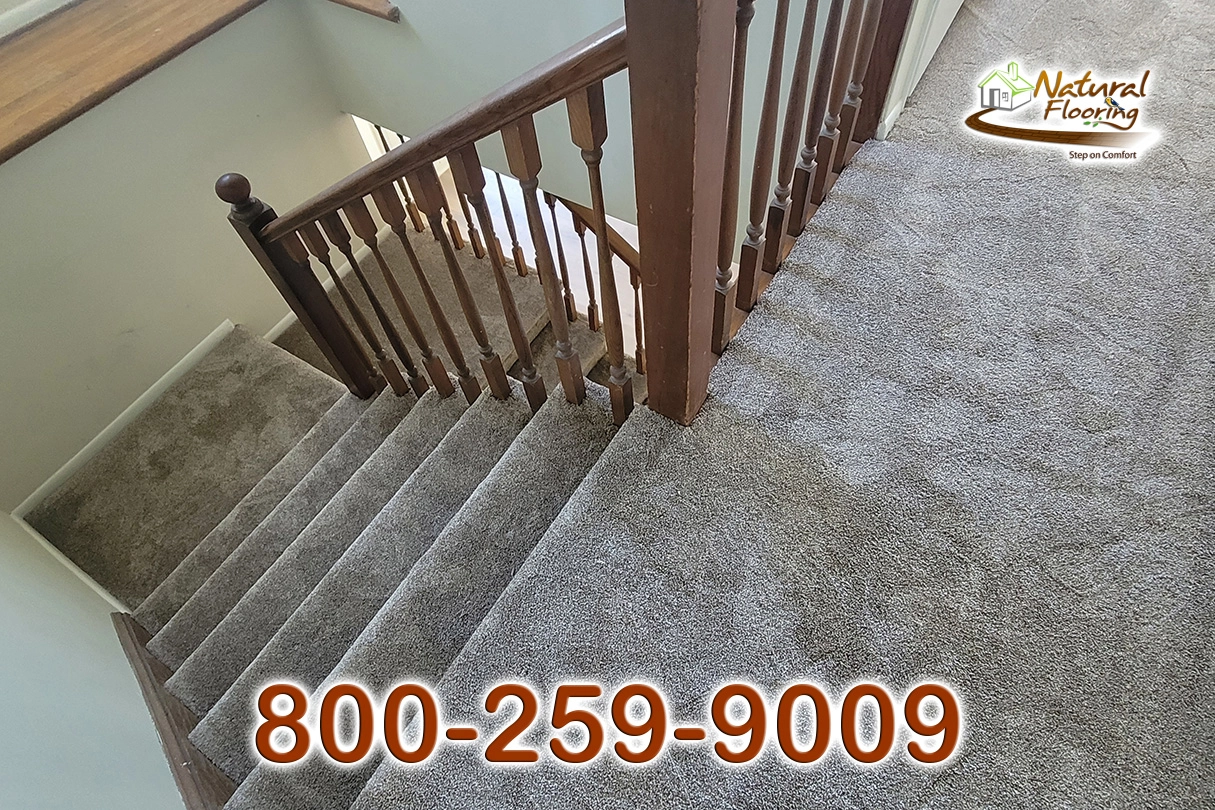 Quail Carpet