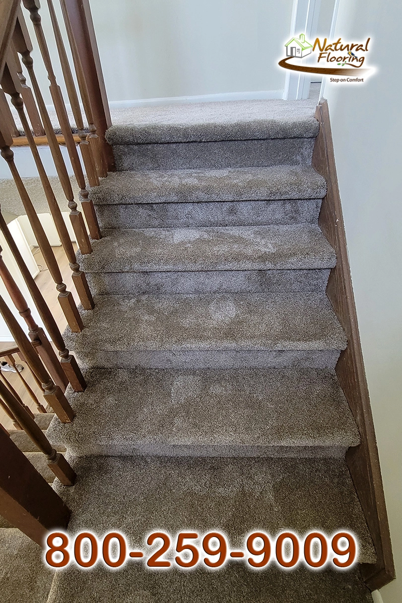 Quail Carpet