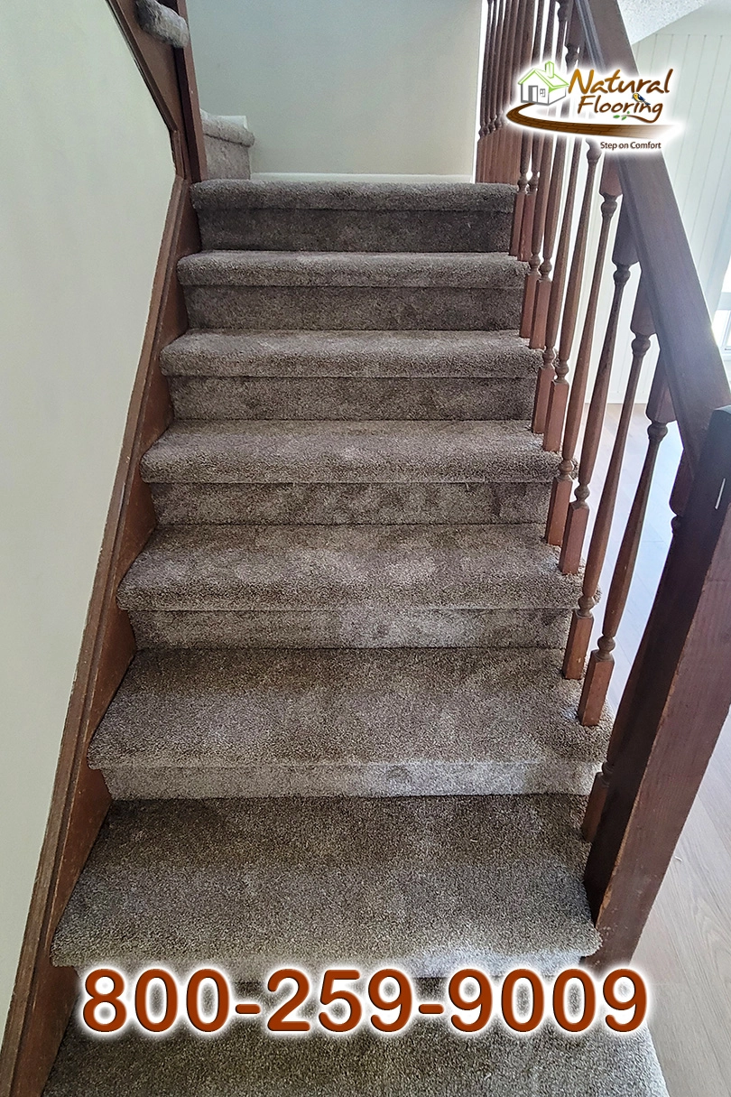 Quail Carpet