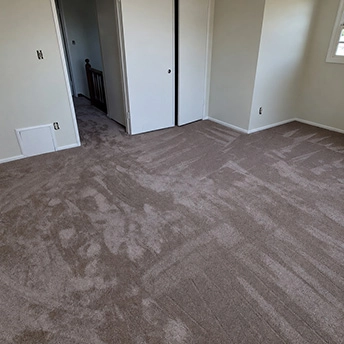 Quail Carpet Montauk Dreamweaver 2 885236