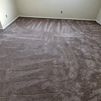 Quail Carpet Montauk Dreamweaver 3 716272