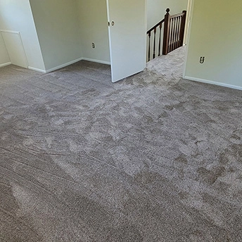 Quail Carpet Montauk Dreamweaver 4 648122
