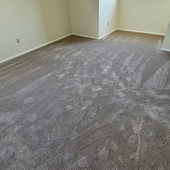 Quail Carpet Montauk Dreamweaver 5 576970
