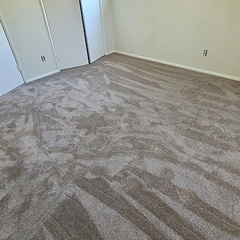 Quail Carpet Montauk Dreamweaver 6 288979