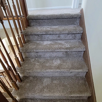 Quail Carpet Montauk Dreamweaver 8 557412