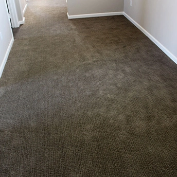 Tuflex Rainforest Carpet 1 819248