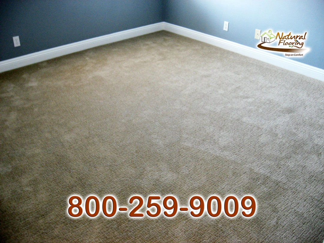 Crusty Bread Carpet