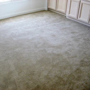 Rush Hour Crusty Bread Carpet Shaw 3 138847