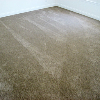 Rush Hour Crusty Bread Carpet Shaw 4 355227