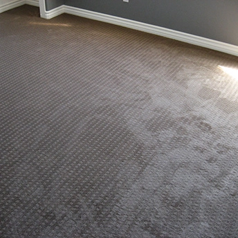 Sable Carpet Lexmark 1
