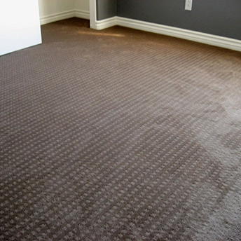Sable Carpet Lexmark 2