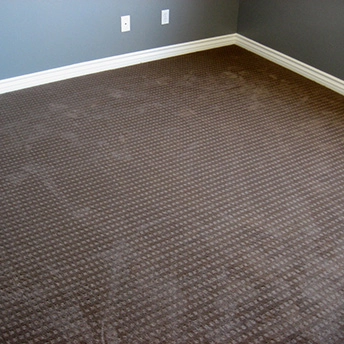 Sable Carpet Lexmark 3