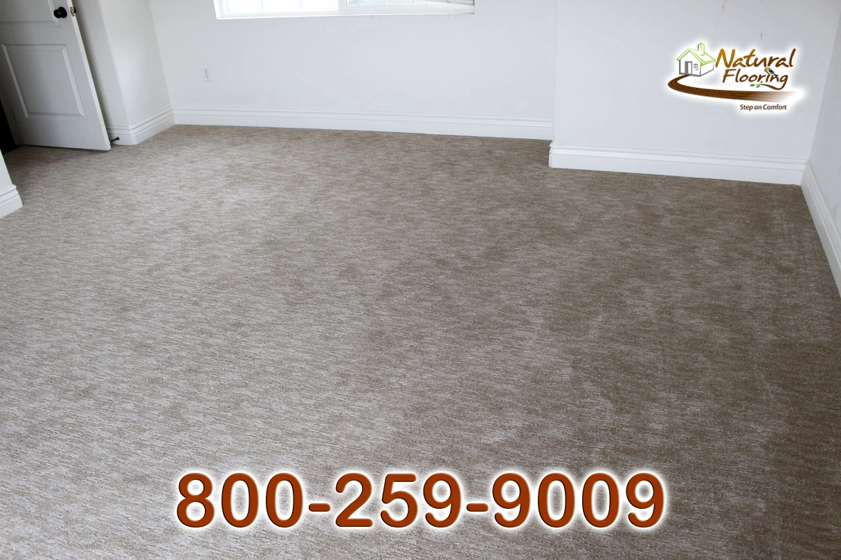 Sandstone Carpet