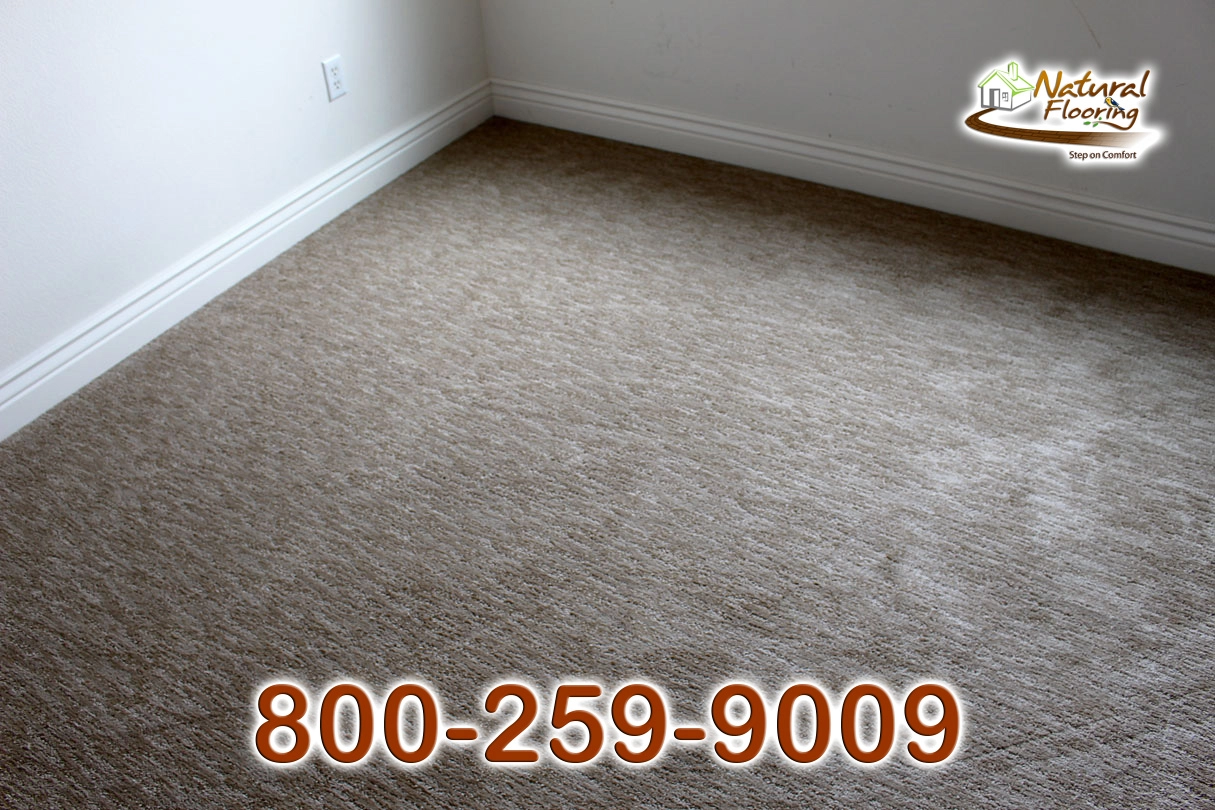 Sandstone Carpet