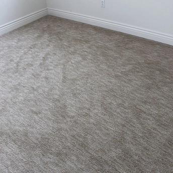 Sadona Sandstone Carpet Lexmark 2