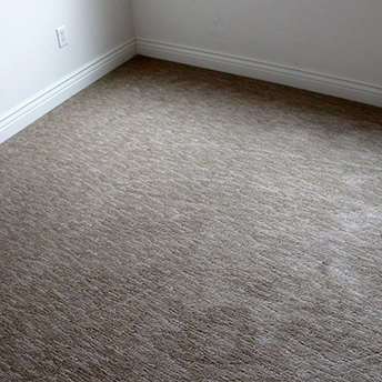 Sadona Sandstone Carpet Lexmark 4