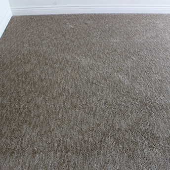 Sadona Sandstone Carpet Lexmark 6