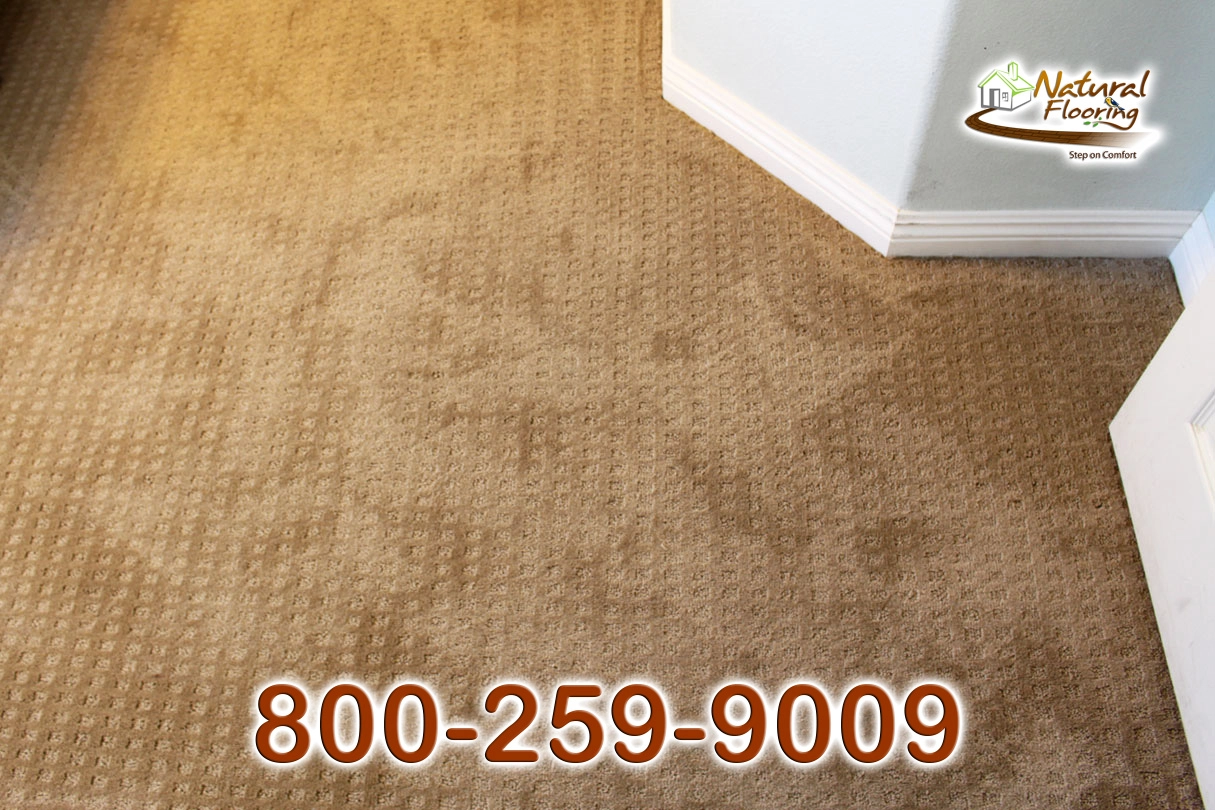 Sandcastle Carpet