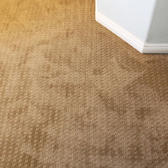 Sandcastle Carpet Mission Square Carpet