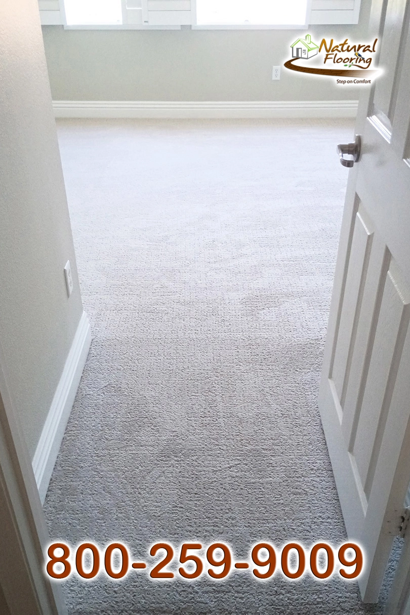 Sandstone Carpet