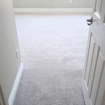 Sandstone Carpet Studio Plaza Shaw 1 221346