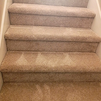 Sawgrass Carpet Montauk DW 3 788547