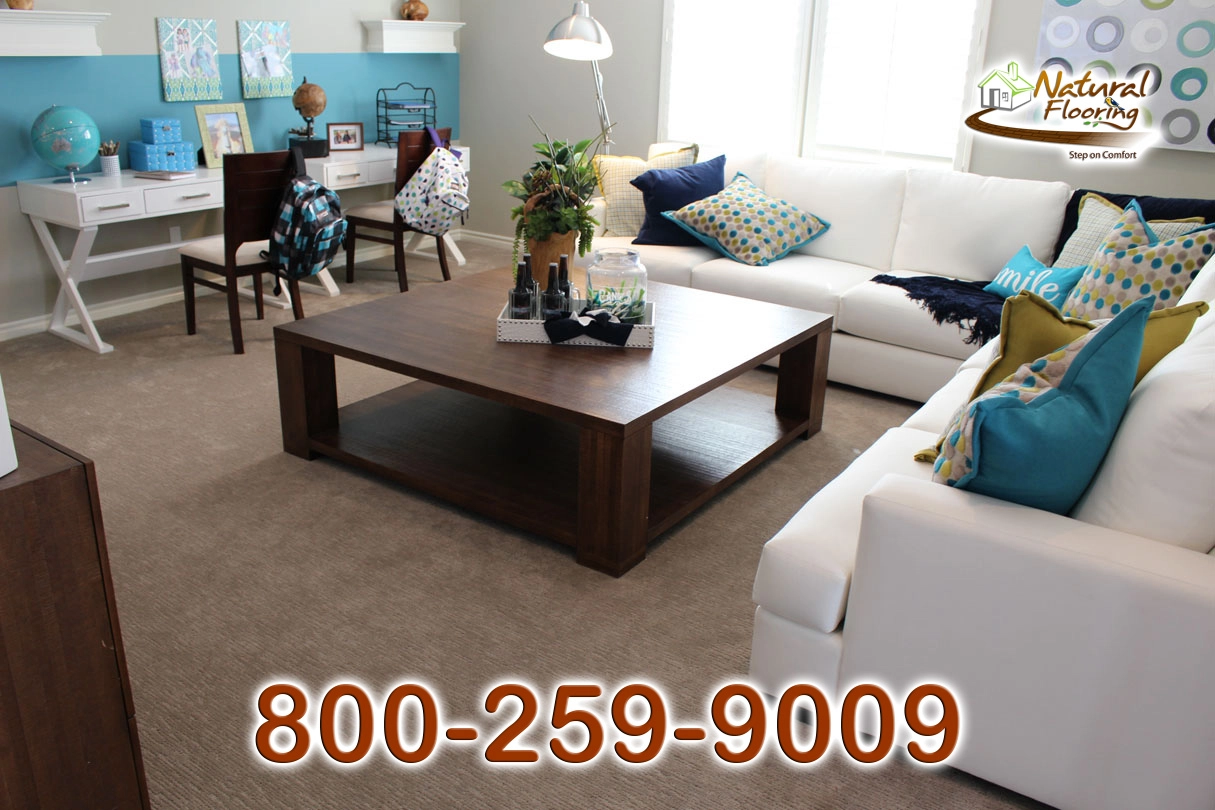 Sedona Drift Scape Carpet