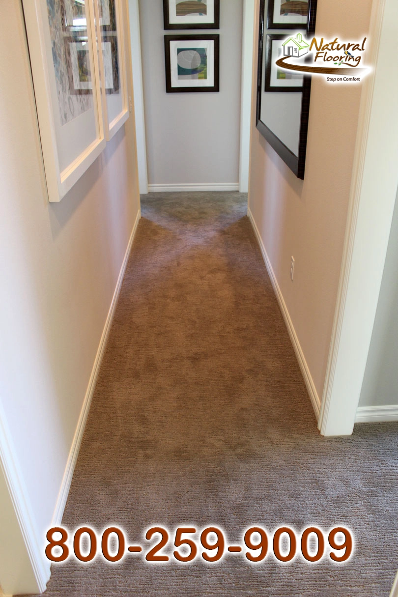 Sedona Drift Scape Carpet