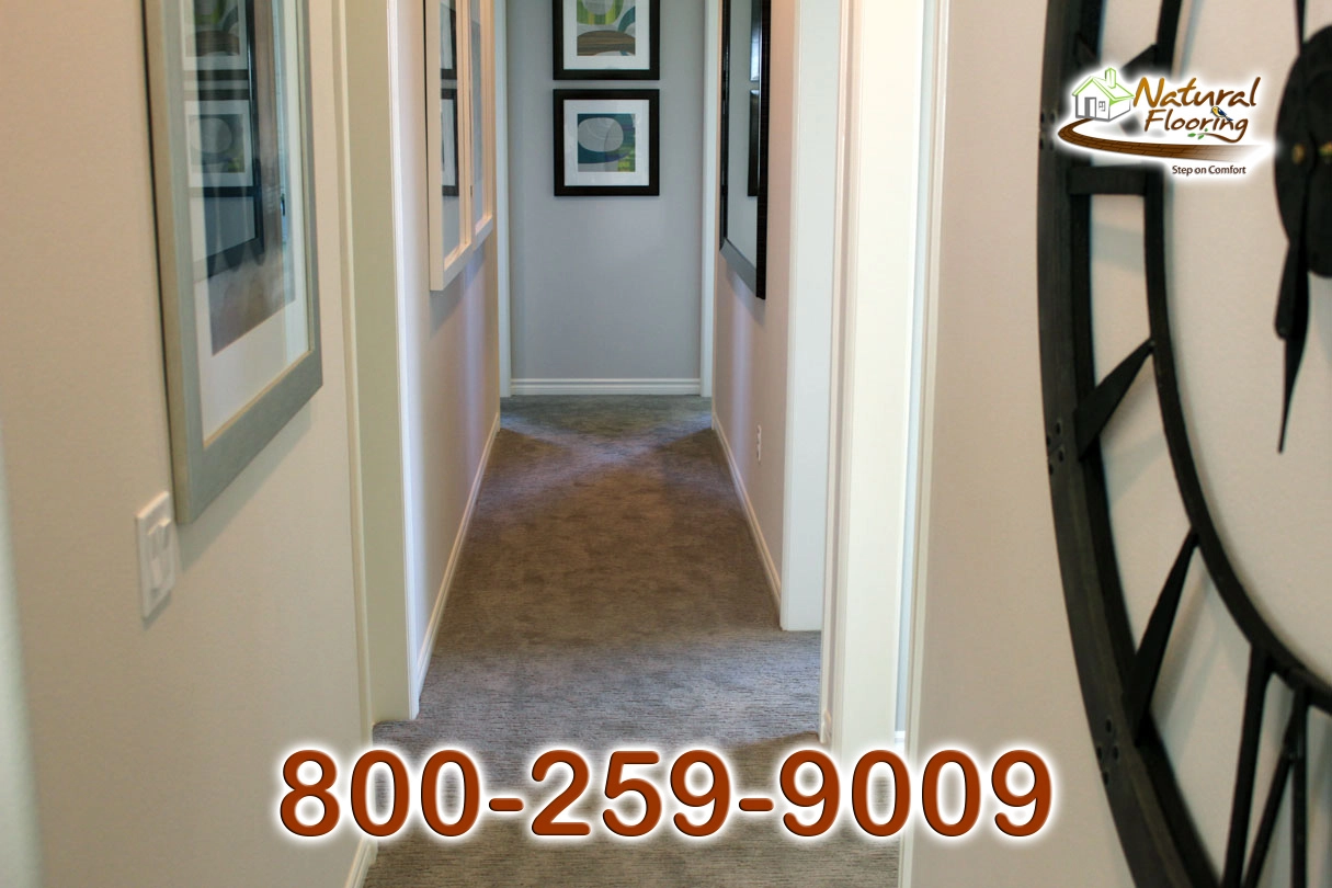 Sedona Drift Scape Carpet
