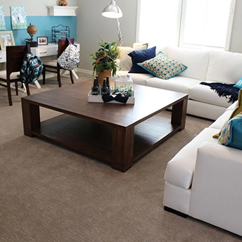 Sedona Drift Scape Carpet Lexmark 1 786046