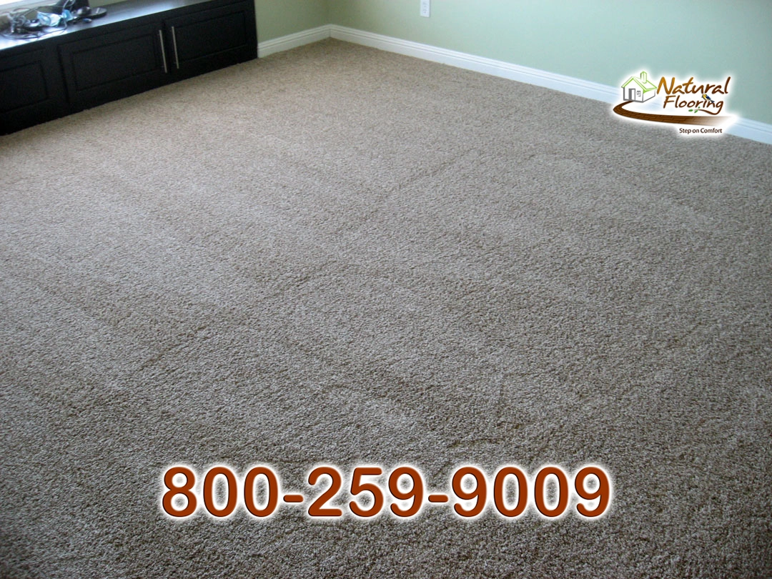 Tweed Coast Carpet