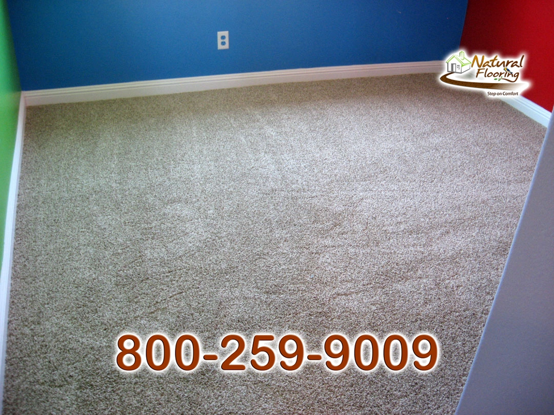 Tweed Coast Carpet