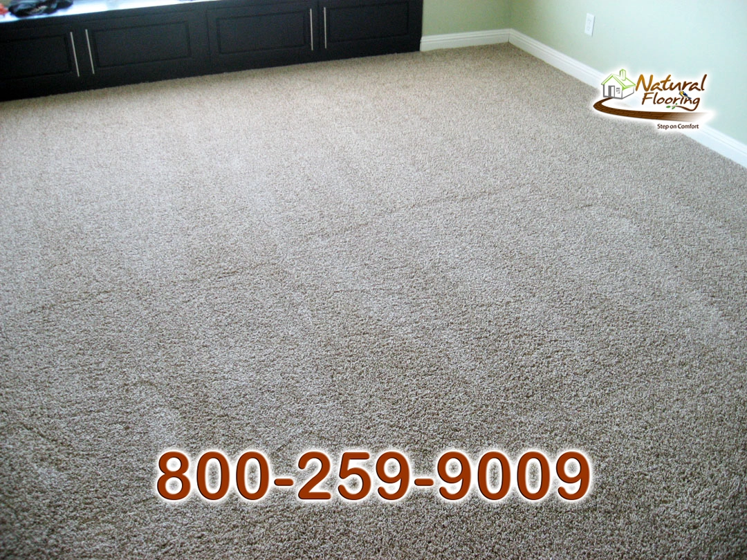 Tweed Coast Carpet