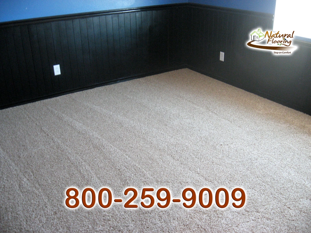 Tweed Coast Carpet