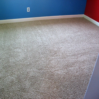 Showcase Tweed Coast Carpet Shaw 2