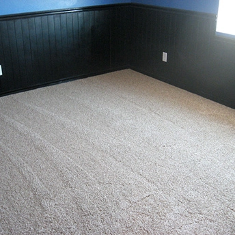 Showcase Tweed Coast Carpet Shaw 4