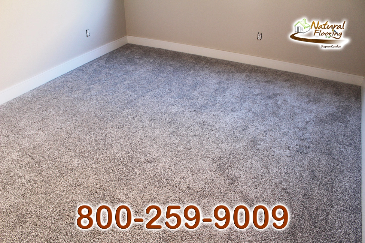 Shoreline Carpet