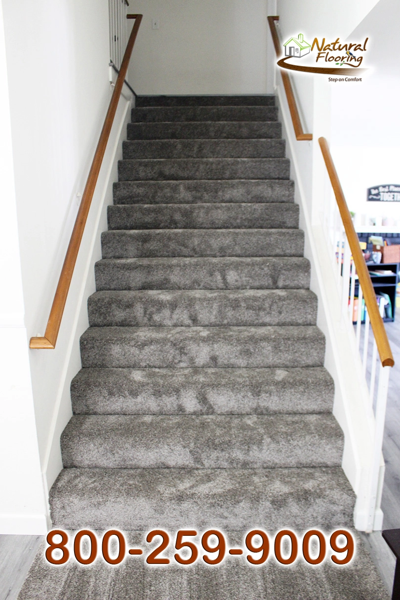 Chino Gray Carpet