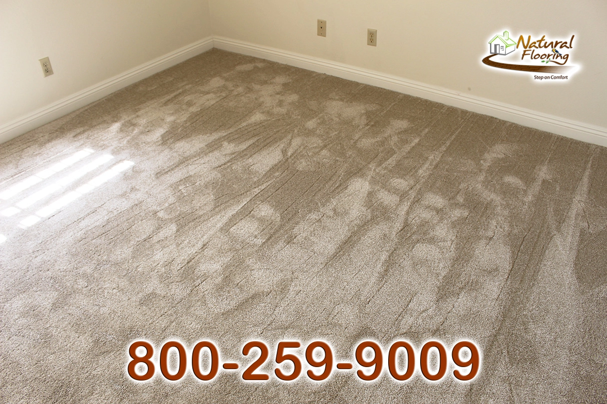 Soft Luxury Latte Carpet